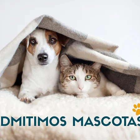 El Pilar 3000 Apartment *